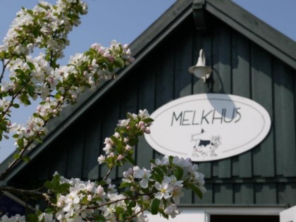 Фото: Melkhus